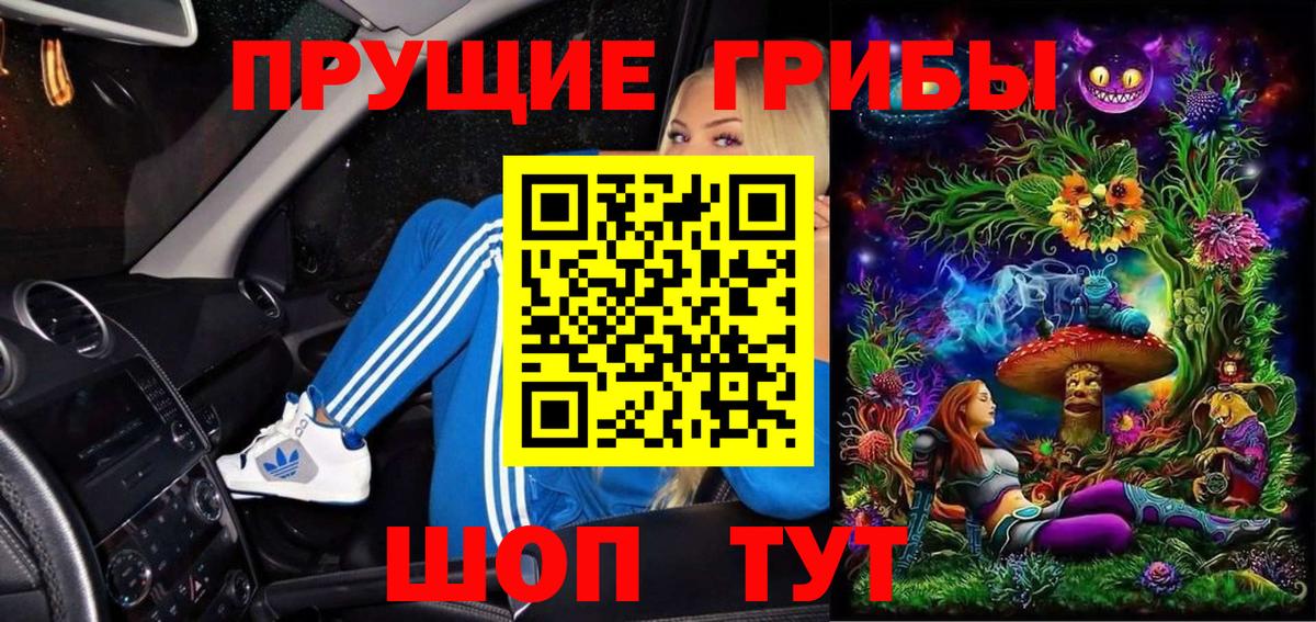 Кинель  Галлюциногенные грибы мухоморы  Галлюциногенные грибы GOLDEN TEACHER  Вход с VPN 
