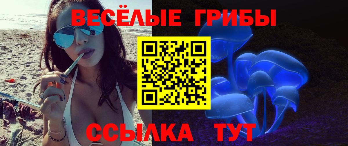 Псилоцибиновые грибы Psilocybe Кинель